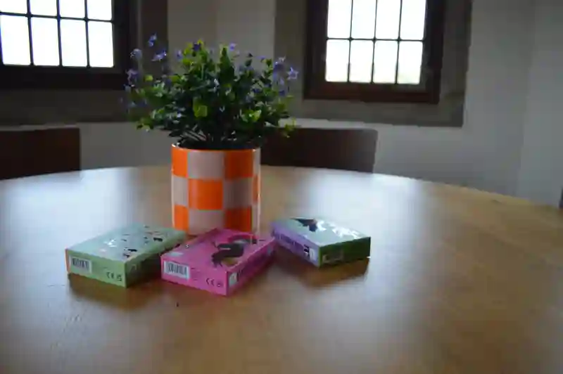 Kinderschloss_Turmstube_Spiele_20260730-credits_MurielleSchaerer (1)